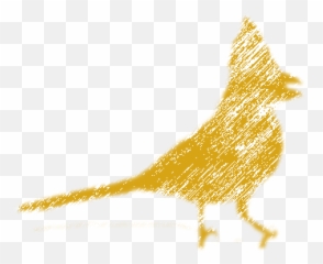 Activities U2014 Whittier Area Audubon Society - Sketch png