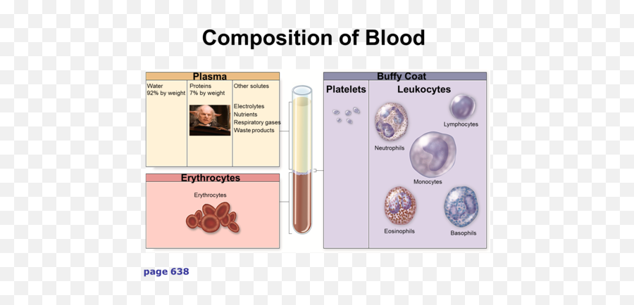 Chapter 6 B Platelet Protein Systems U0026 Cell Components Of - Lymphocytes Leukocytes Waste Products Png,Buffy Aim Icon