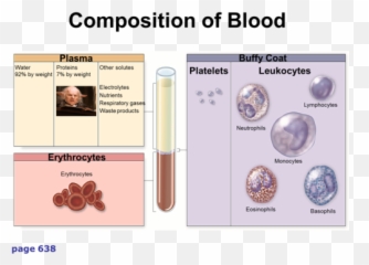Chapter 6 B Platelet Protein Systems U0026 Cell Components Of - Lymphocytes Leukocytes Waste Products png