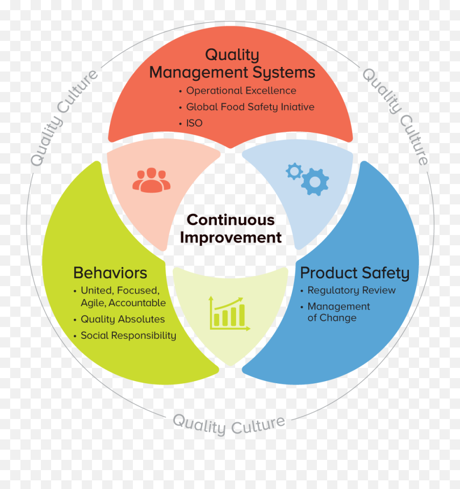 Continuous Improvement - Continuous Improvement Vision Png,Qms Icon