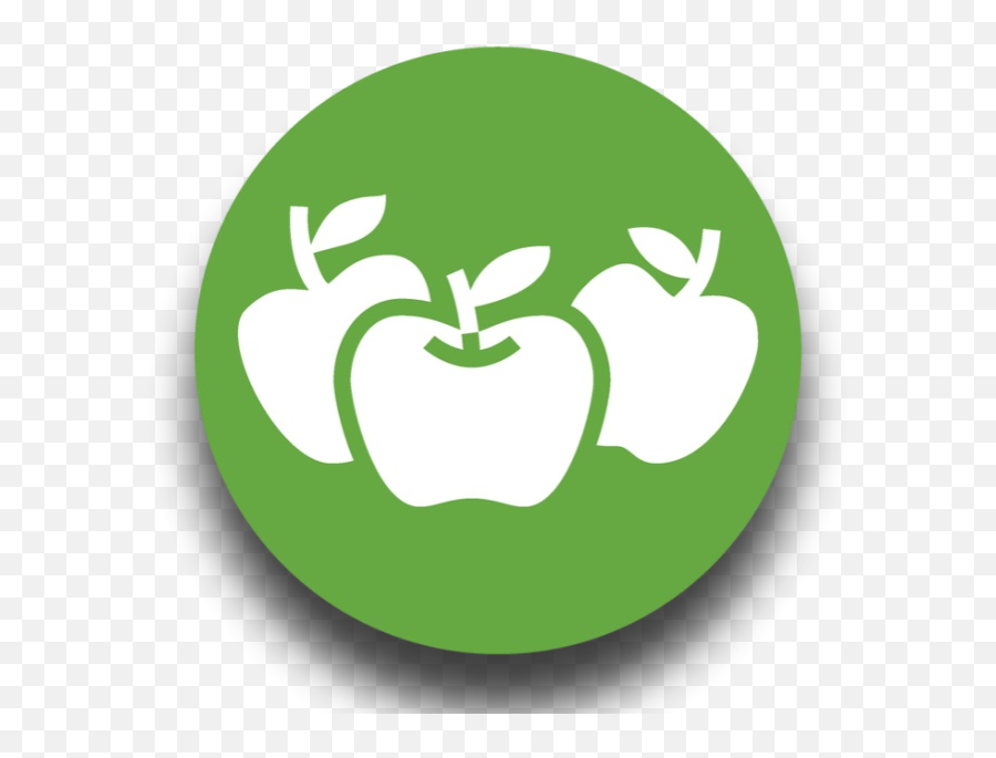 About Fourth Coast Ciderworks - Icone Cueilette De Fruit Png,Apple Icon Template