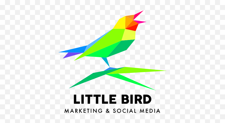 Logo Design And Branding For Minneapolis Small Businesses - Logo Designs On Websites Png,Bird Logo