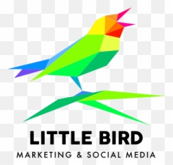 Logo Design And Branding For Minneapolis Small Businesses - Logo Designs On Websites Png,Bird Logo