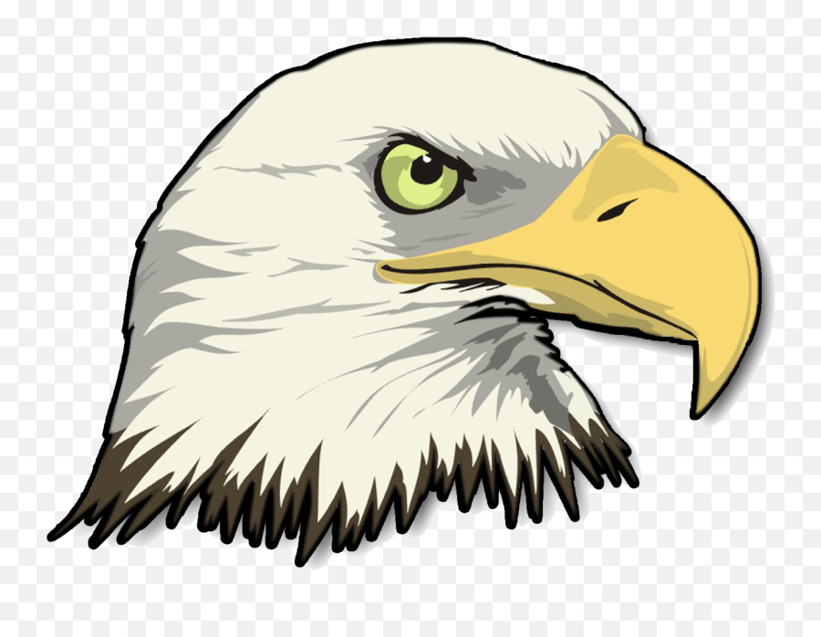Eagle Head Transparent Image Png Arts - Bald Eagle Clipart,Bald Head Png