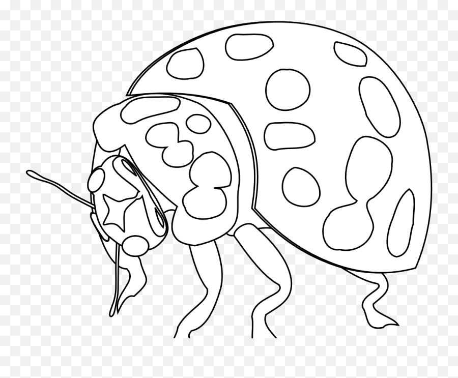 Bug Tattoos Designs And Ideas - Illustration Transparent Illustration Png,Transparent Tattoos