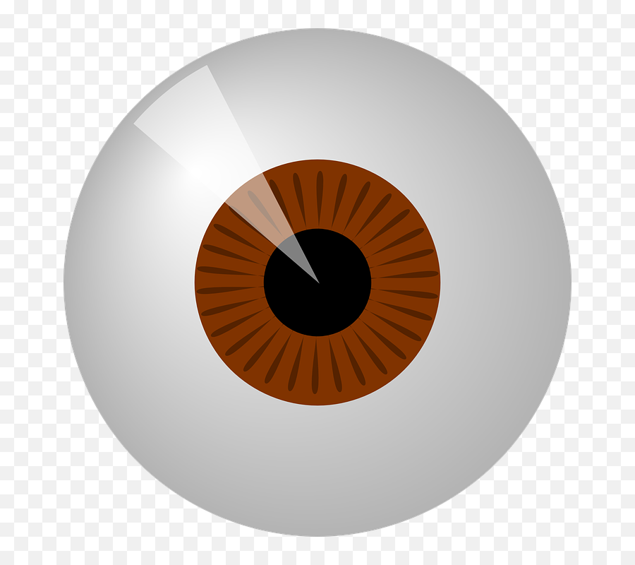 Dodgeball Clipart Fire - Brown Eyeball Clipart Png,Fire Eyes Png