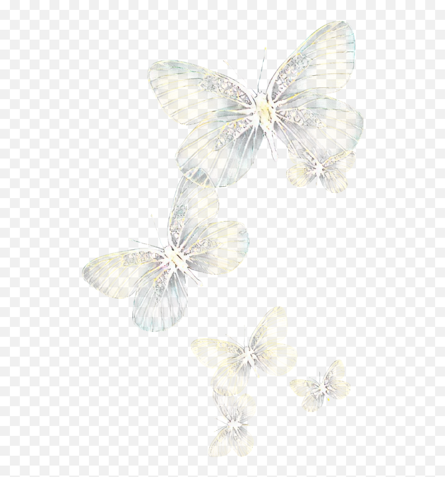 Light Glowing - Flying White Butterfly Png,Glowing Light Png - free transparent  png images 
