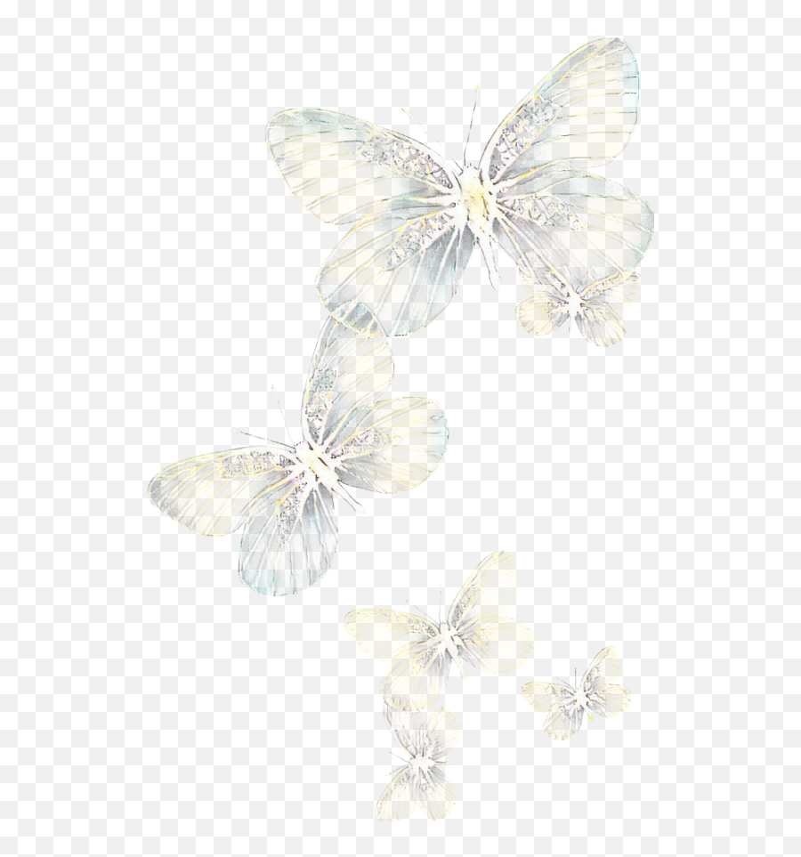 Light Glowing - Flying White Butterfly Png,Glowing Light Png