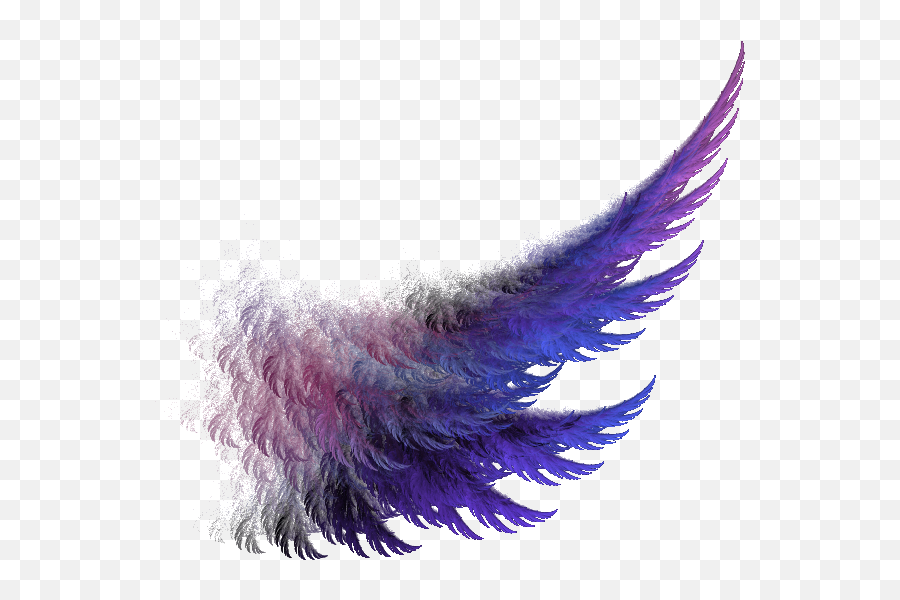 Png Fire Wings 4 Image - Png For Poster Editing,Wing Png