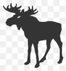 Deer Silhouette Alaska Moose - deer png download 540525 Moose Clipart