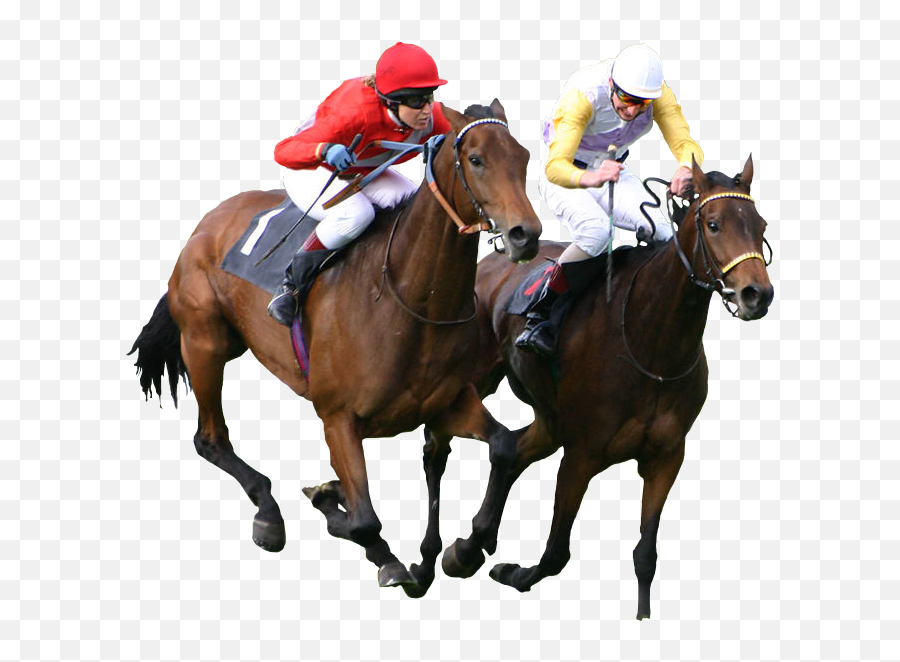 Download Free Png Collection Of Horse Transparent - Horse Racing Png,Horse Transparent Background