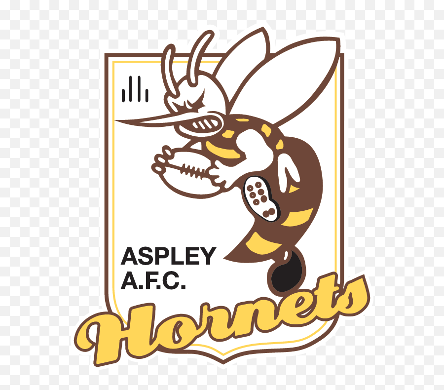 Aspley Hornets Afl - Nathan Clarke Brisbane Lions Png,Hornets Logo Png