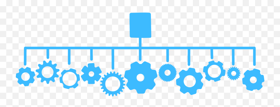 Functional Specialization In Png Organization