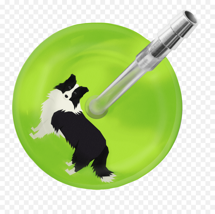 Border Collie Stethoscope - Ultrascope Png,Border Collie Png