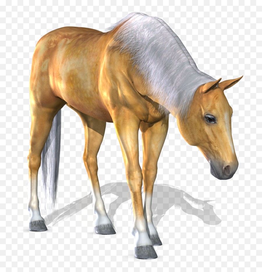 3d Horse Png 3 - 3d Horse Png,Mustang Horse Png