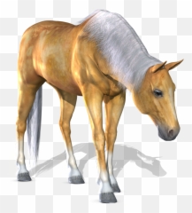 3d Horse Png 3 - 3d Horse Png,Mustang Horse Png