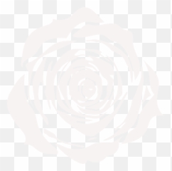 White Rose Bridal Rooms Wedding Dresses Newbury - Still Life Photography png