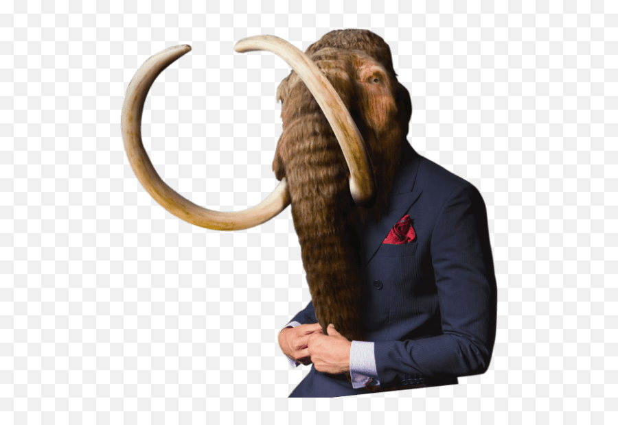 Advertising And Marketing For Alaskan Business Mammoth - Mammoth Stone Age Png,Mammoth Png