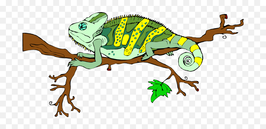 Free Lizard Clipart - Lizard Is On The Tree Clipart Png,Iguana Transparent Background