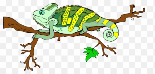 Free Lizard Clipart - Is On The Tree png