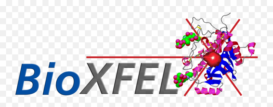Bioxfel - Knowledge Transfer Dot Png,Nsf Logo Png