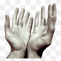 Download Hd Hands Praying Open - Pray Png,Prayer Png