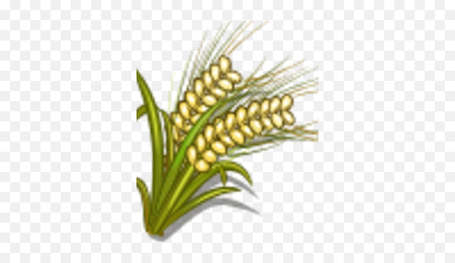 White Wheat Farmville Wiki Fandom - Fresh Png,Wheat Icon Png