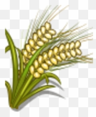 White Wheat Farmville Wiki Fandom - Fresh png