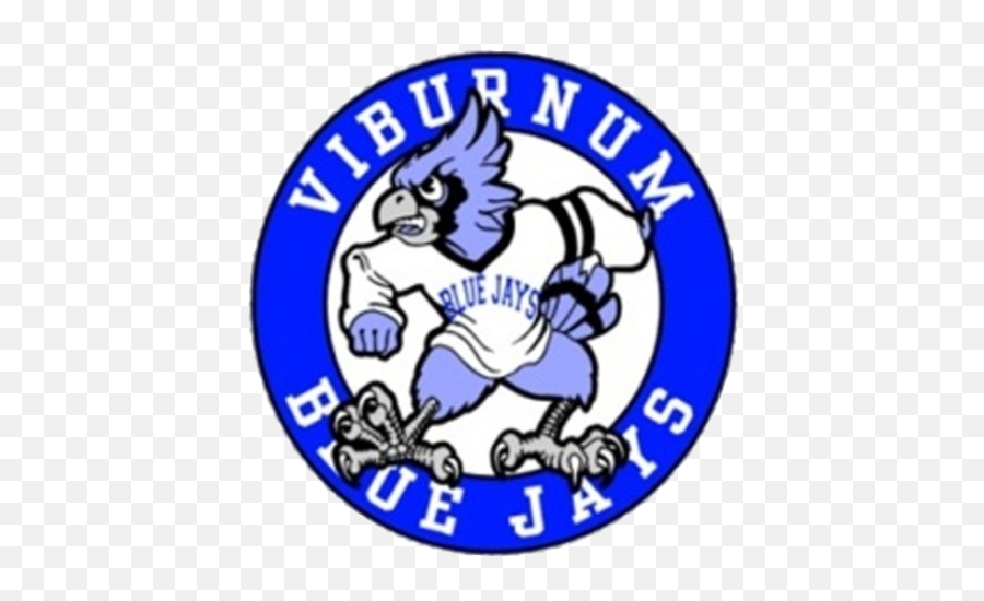 The Viburnum Blue Jays - Delphos St Blue Jays Png,Blue Jays Logo Png