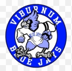 The Viburnum Blue Jays - Delphos St Blue Jays Png,Blue Jays Logo Png