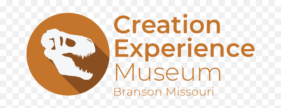 Plan Your Visit - Creation Experience Museum Koor Png,Answers In Genesis Logo