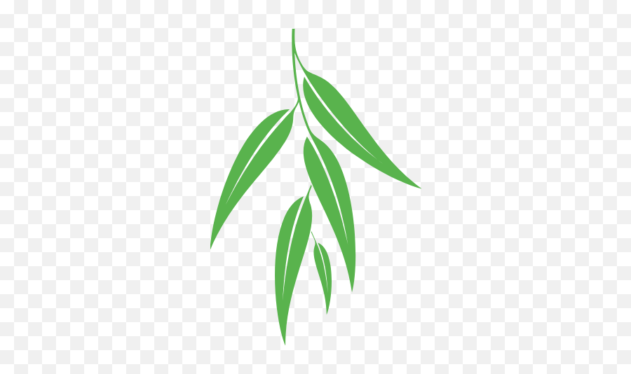 Soaker Euca - Language Png,Eucalyptus Icon