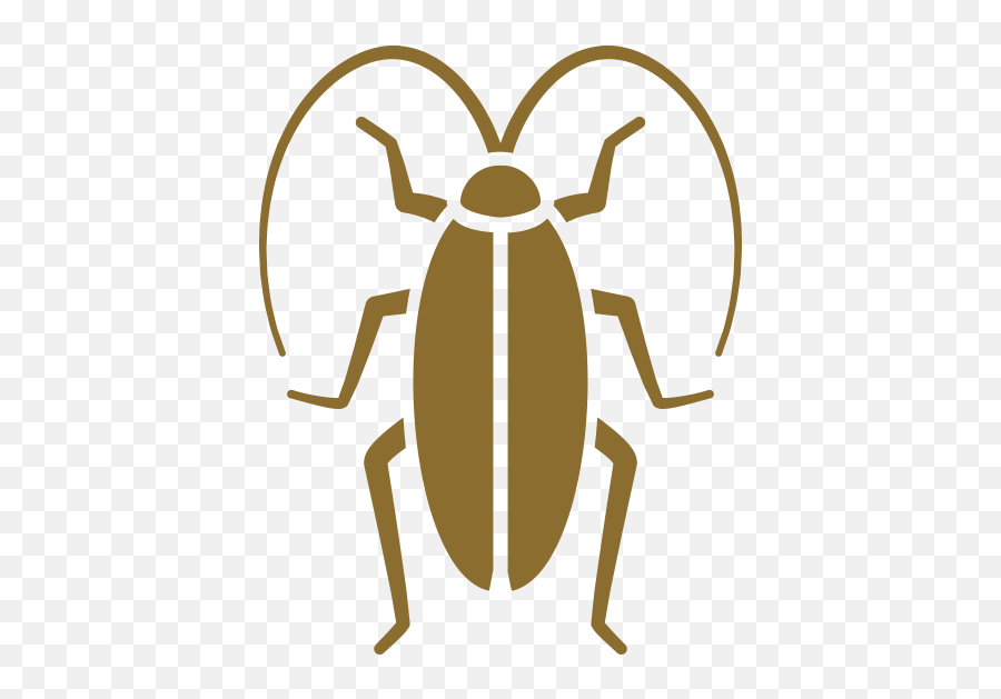 Pest Control Winston - Salem Nc Brown Pest Control Cockroach Pest Icon Png,Cockroach Icon