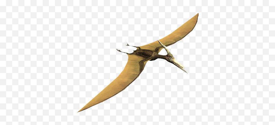 Pterosaur - Pteradactyl Facts Png,Pterodactyl Png