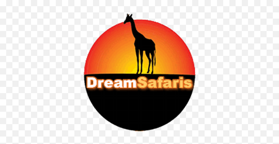 Dreamsafaris - Giraffe Png,The Beach Boys Logo