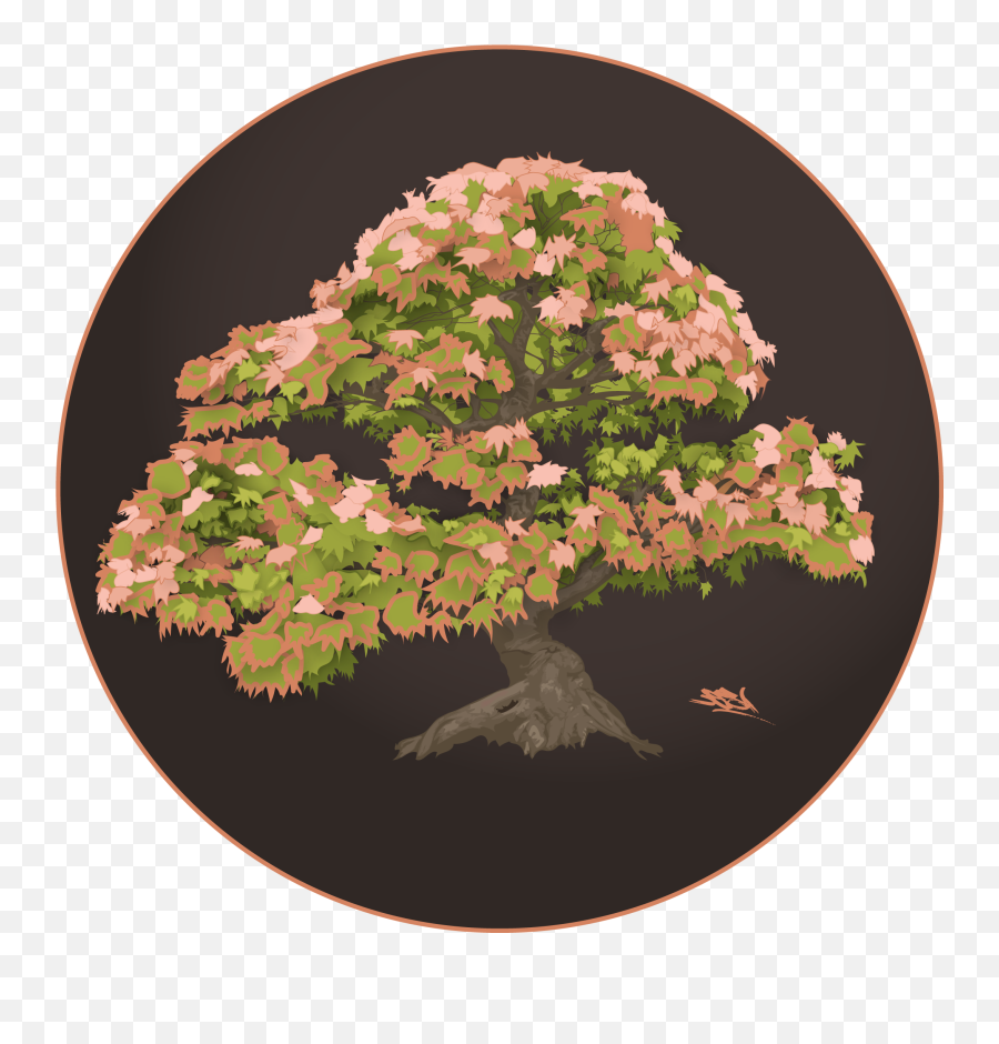 Bonsai - Bonsai Png,Japanese Maple Png