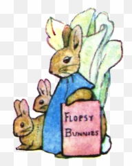 Beatrix - Beatrix Potter Illustrations Png,Rabbit Transparent