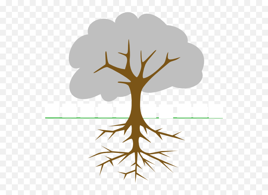 Stock Tree With Roots Png Files - Mango Tree Root System,Tree Roots Png