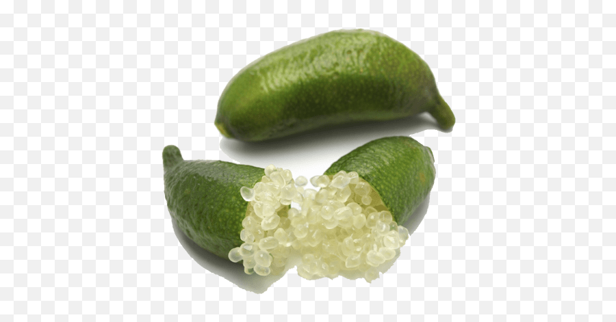 Buy Finger Limes Online - Citrus Caviar From Pearson Ranch Finger Lime Png,Limes Png