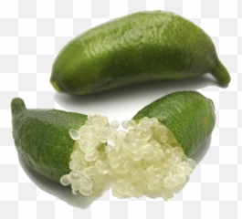 Buy Finger Limes Online - Citrus Caviar From Pearson Ranch Finger Lime Png,Limes Png