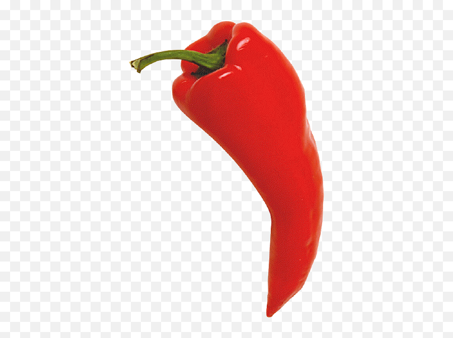 Chili Pepper Red Png Hot