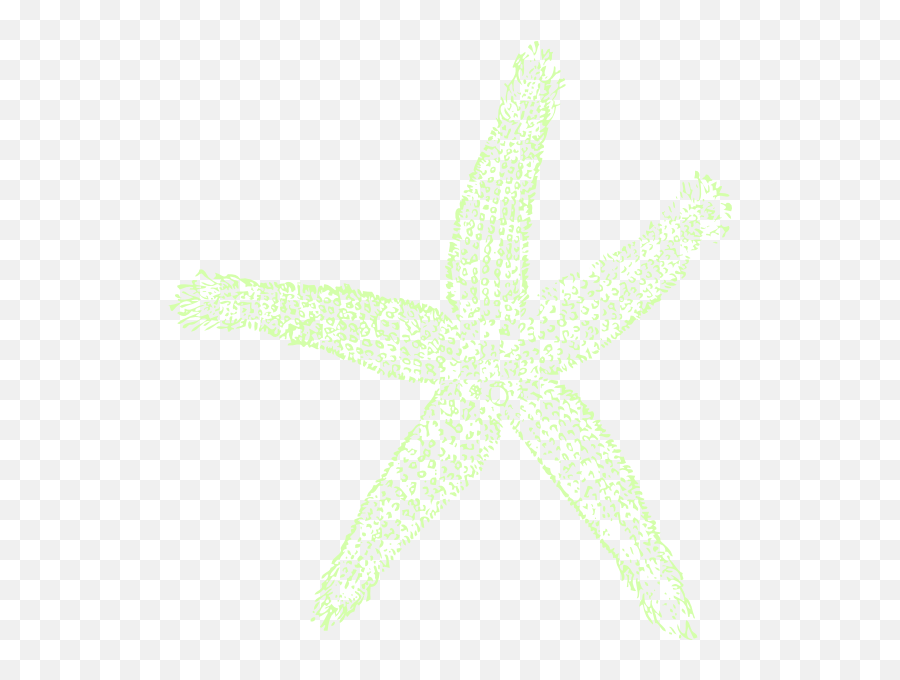 Download Hd Single Starfish Clipart Png For Web - Private Fish Clip Art,Starfish Clipart Transparent Background