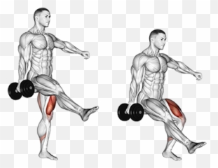 Exercise Database Legs22 - Dumbbell Pistol Squat U2014 Jase Ejercicios De Pierna Cuadriceps Png,Squat Png