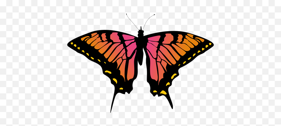 Transparent Png Svg Vector - Butterfly Gradient Svg,Butterflies Transparent