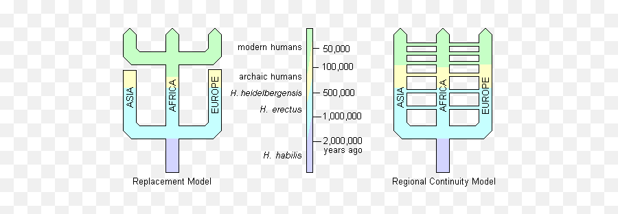 Early Modern Homo Sapiens - Vertical Png,Direct Ancestor Icon