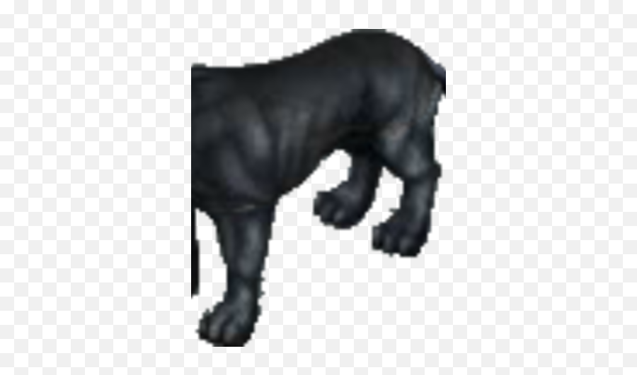 Zoom Black Panther Smallworlds Wiki Fandom - Cat Yawns Png,Black Panther Transparent