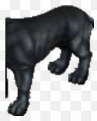 Zoom Black Panther Smallworlds Wiki Fandom - Cat Yawns Png,Black Panther Transparent