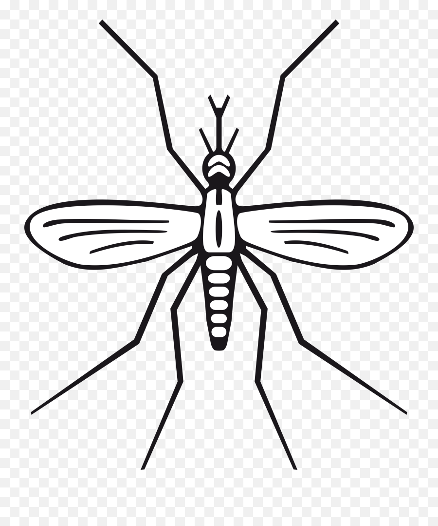 Download Mosquito - Mosquito Clip Art Png Image With No Clipart Mosquito,Mosquito Transparent