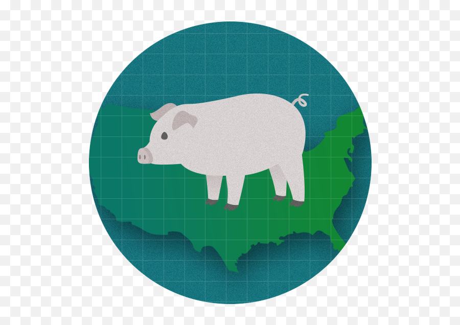 Bill Gates Conspiracy Theories Continue To Pile Up - Fact Domestic Pig Png,Dead By Daylight Dc Icon