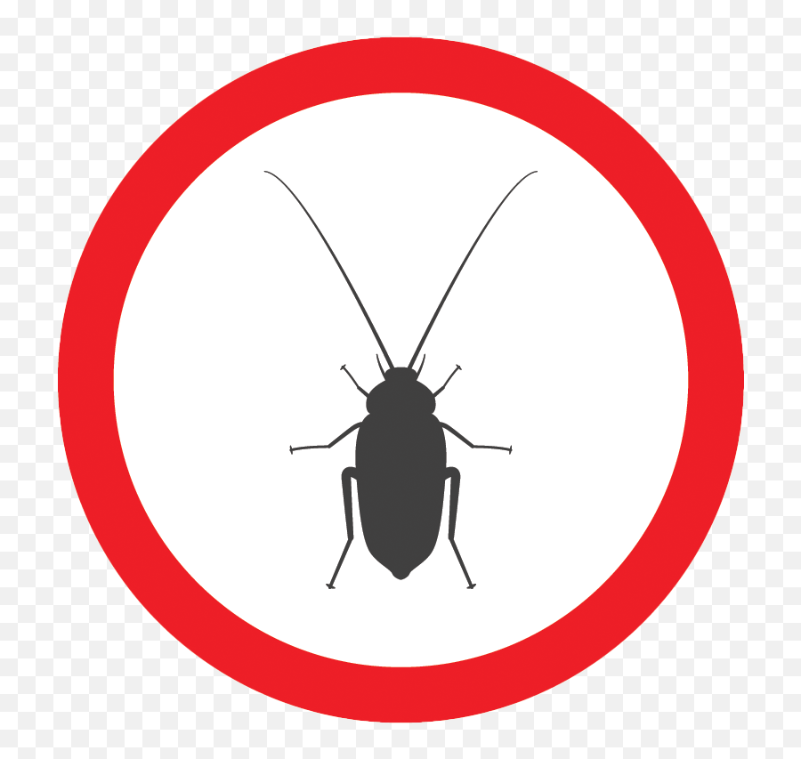 Bug Library Bugged Out Pest Control - Parasitism Png,Cockroach Icon